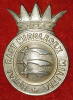 Home Counties Reserve Regiment QVC Cap Badge